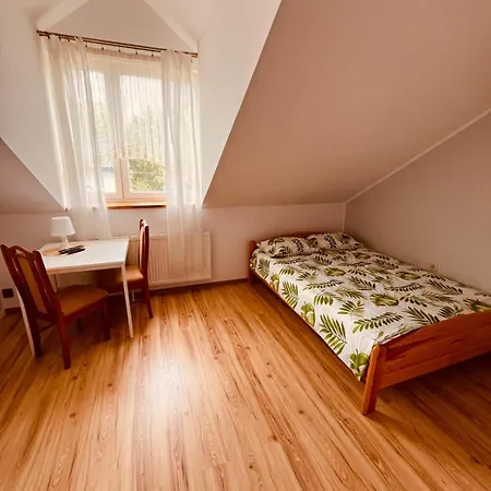 Delfin Wynajem Pokoi *