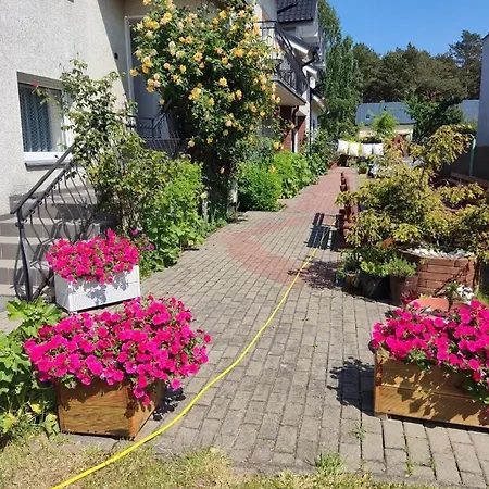 Delfin Wynajem Pokoi Alloggio in famiglia Ostrowo (Puck)