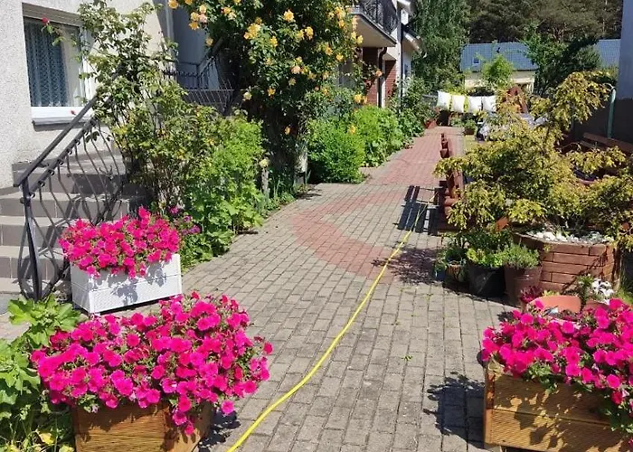 Delfin Wynajem Pokoi منزل للإقامة أوستروفو